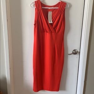 Ladies dress